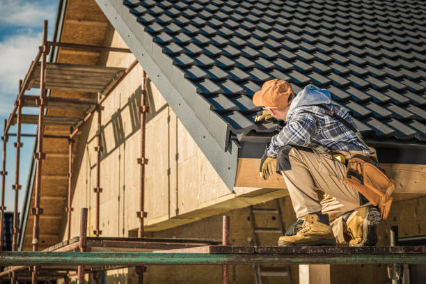 Best Roof Insulation Installation  in Jackpot, NV