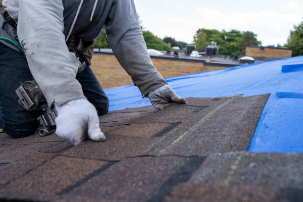 Best Roof Leak Repair  in Jackpot, NV